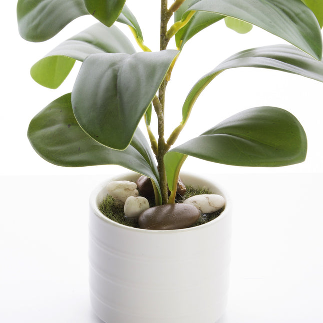 Mākslīgais augs keramikas podiņā – zaļš, 25 cm