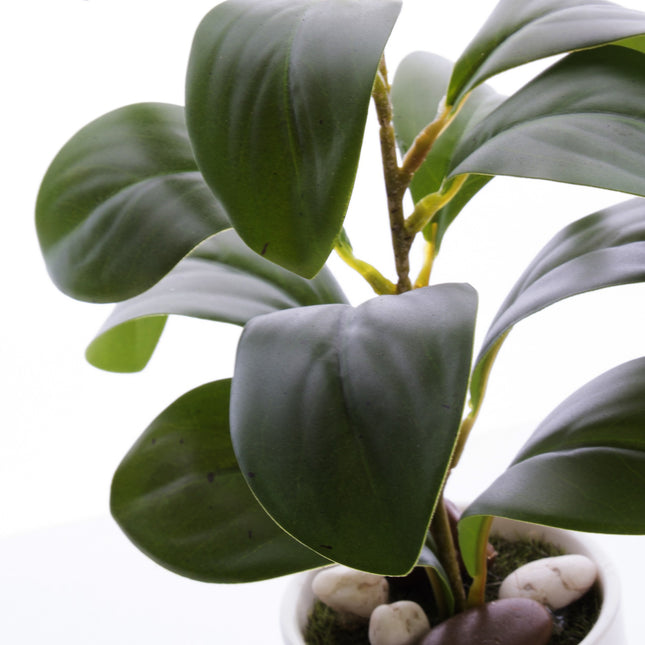 Mākslīgais augs keramikas podiņā – zaļš, 25 cm