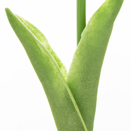 Mākslīgā tulpe dzeltenā tonī 33cm