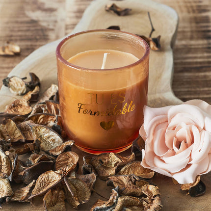 Aromātiskās sveces un dekoratīvās rozes dāvanu komplekts “Tout L’Amour”