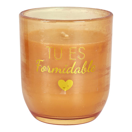 Aromātiskās sveces un dekoratīvās rozes dāvanu komplekts “Tout L’Amour”