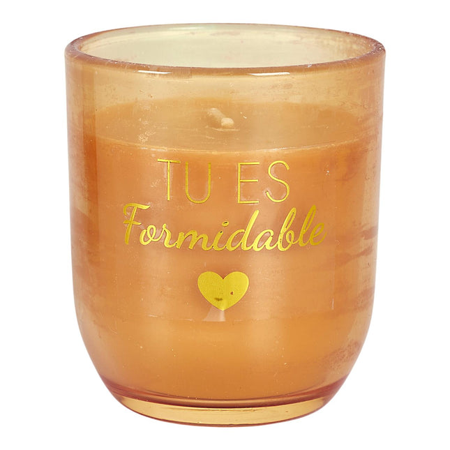 Aromātiskās sveces un dekoratīvās rozes dāvanu komplekts “Tout L’Amour”