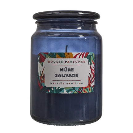 Aromātiskā svece stikla traukā – 72 h degšanas laiks | Eksotiska vasaras aromātu kolekcija
