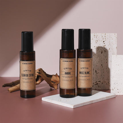 Gaisa aromāts sprejs 100ML BALTAIS MUSKUSS-KOKVILNAS ZIEDS-DZINTARS