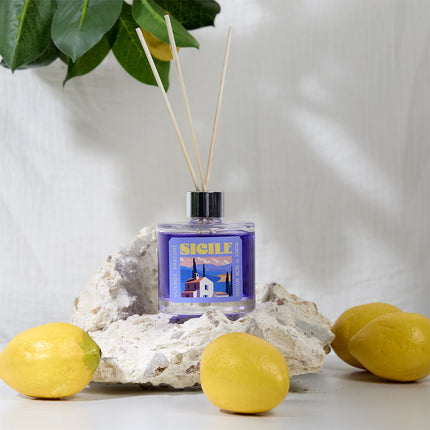 Aromāta difuzors 100 ml – Baltais muskuss, sandalkoks & kokvilnas zieds | Travel kolekcija