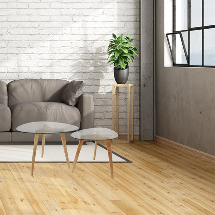 Kafijas galdiņu komplekts (2 gab.) ar stikla virsmu