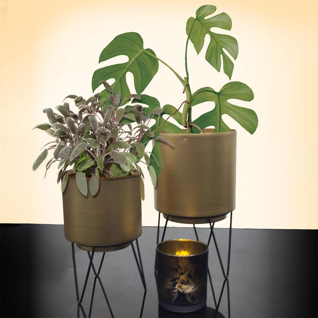 Zelta puķu podu komplekts ar statīviem (2 gab.)