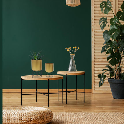 Zelta puķu podu komplekts ar statīviem (2 gab.)