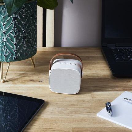 Bezvadu skaļrunis ar karaoke mikrofonu