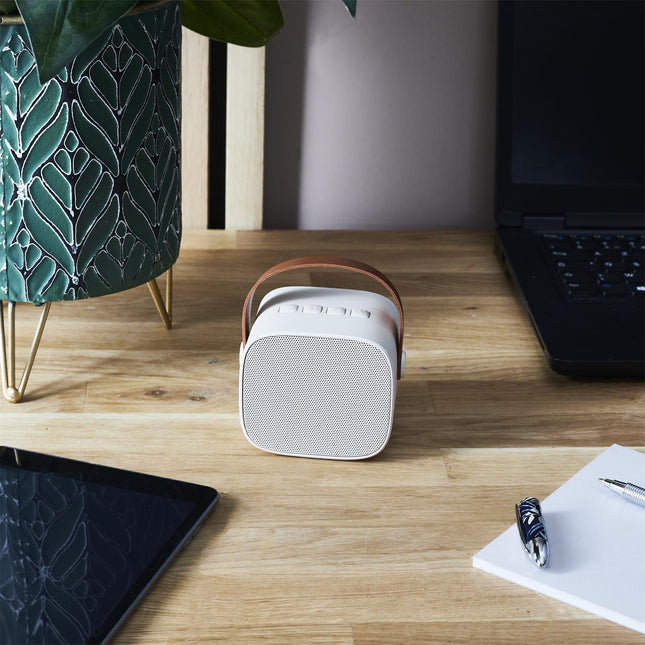 Bezvadu skaļrunis ar karaoke mikrofonu