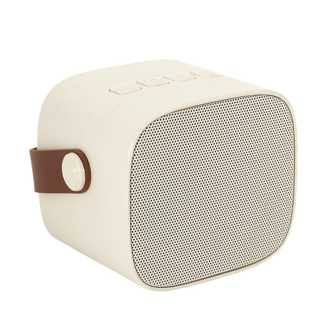 Bezvadu skaļrunis ar karaoke mikrofonu