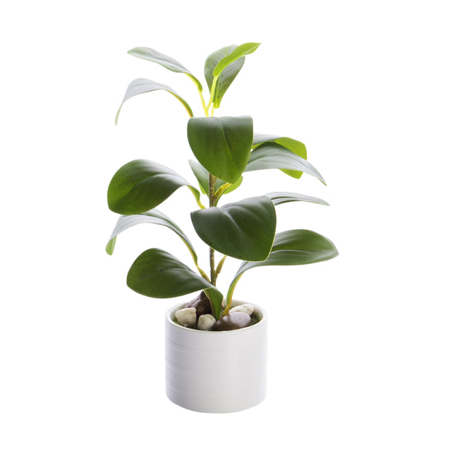 Mākslīgais augs keramikas podiņā – zaļš, 25 cm