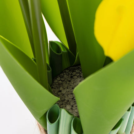 Dekoratīvs mākslīgo tulpju pušķis 28cm